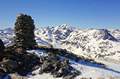 25 vall de Rialb i Turo del Forn Picture 8